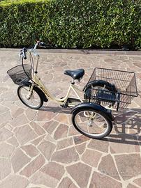 triciclo a pedalata assistita 