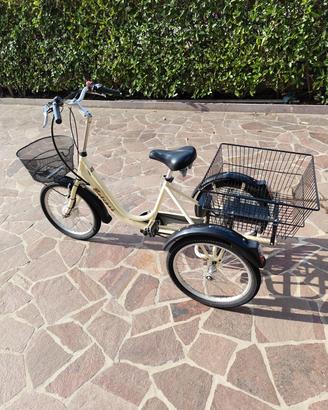 triciclo a pedalata assistita 