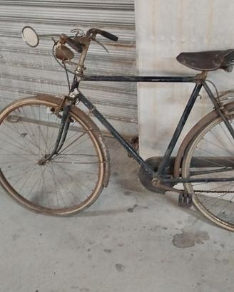 bici da uomo  bianchi