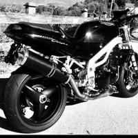 Speed triple prima serie doppio faro T509