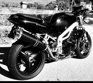 Speed triple prima serie doppio faro T509