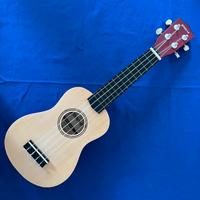 Ukulele “groove” con custodia