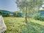 Immagine 21