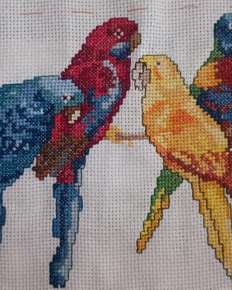 5 Pappagalli multicolor ricamati punto croce