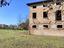 Immagine 15