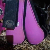 stinchiere paranocche