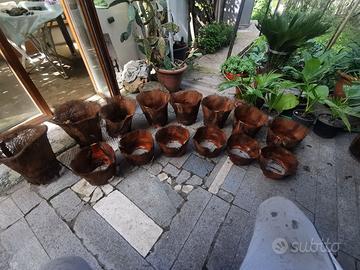 corteccia retata di palma