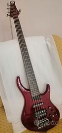 basso  MTD Kingston Heir  - Transparent Cherry