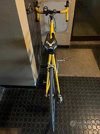 Bickltta  da corsa Alimino