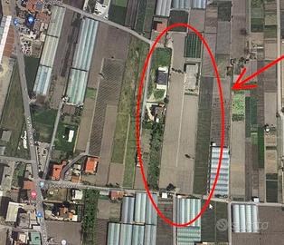 Terreno industriale edificabile di 6000mq zona PIP