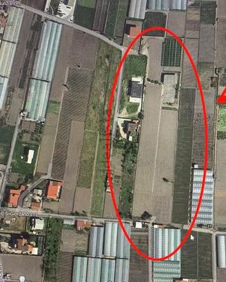 Terreno industriale edificabile di 6000mq zona PIP