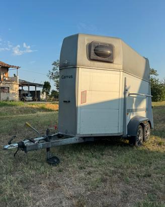 TRAILER TRASPORTO CAVALLI HUMBAUR 24qtl