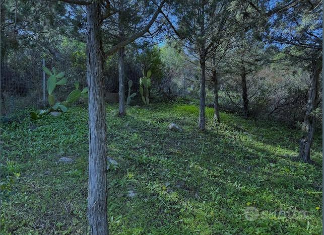 Immobile in asta di 12390 m² a Olbia - Vista 5