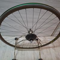 ruota posteriore  campagnolo 