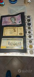 collezione monete 
