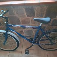 Bicicletta mountain bike