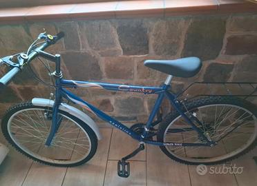 Bicicletta mountain bike