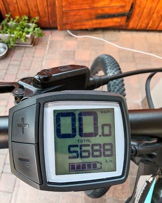 e bike bianchi