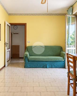 2 LOCALI A SILVI