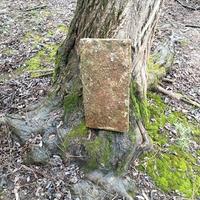 piastrella in cotto del 900