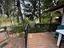 Immagine 12
