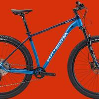 MTB BOTTECCHIA GAVIA 29