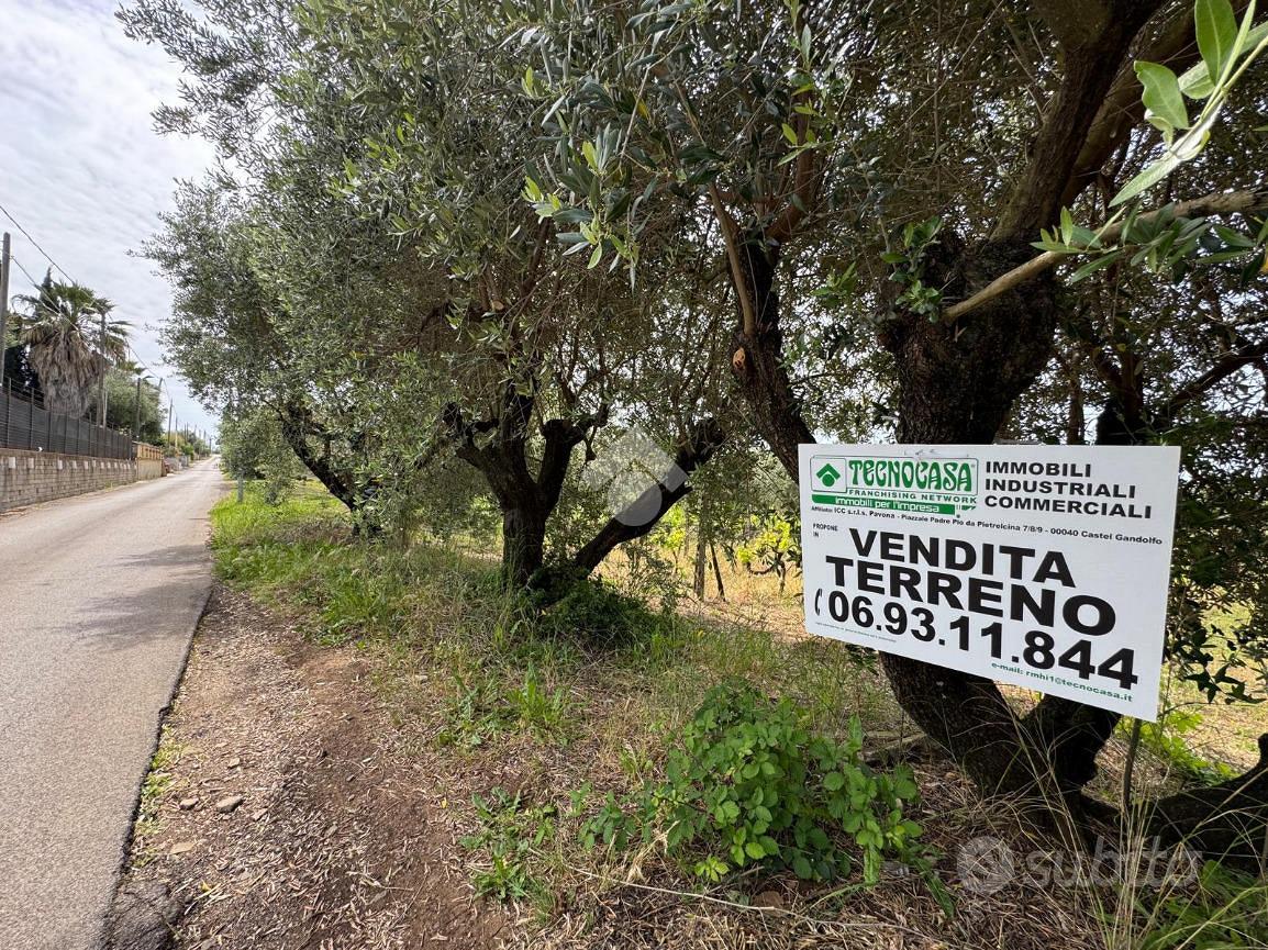 TER. AGRICOLO A LANUVIO - Vista 3