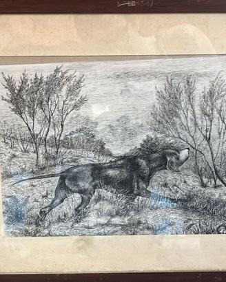 Quadro con cane da caccia – stampa/ incisione vint