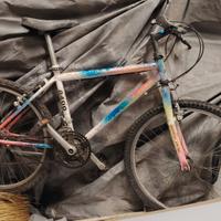 Mountain bike ragazzo/a