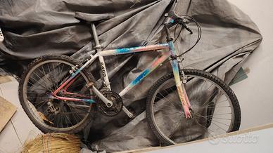 Mountain bike ragazzo/a