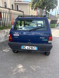 Panda in condizioni accettabili per la città