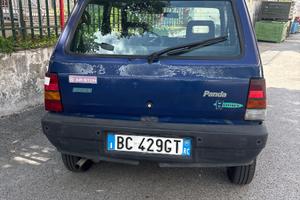 Panda in condizioni accettabili per la città