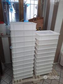 Cassetta Impasto Lievitazione