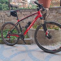 mtb specilized 