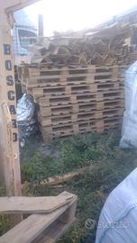 pallet nuovi