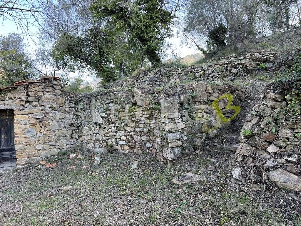 Rustico-Casale a Vallebona - Vista 4