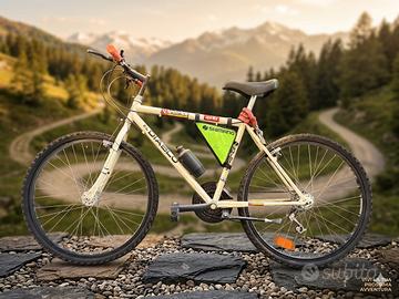 Mountain bike uomo da revisionare