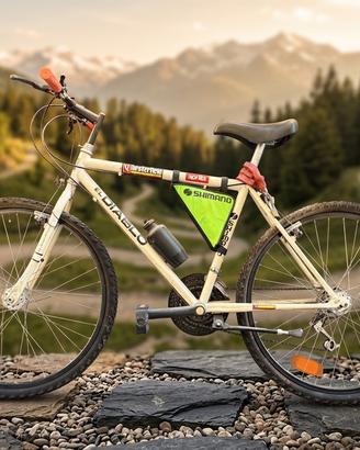 Mountain bike uomo da revisionare