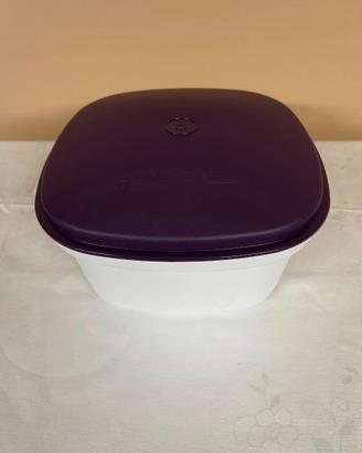 Tupperware contenitore con griglia