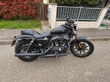 Harley davidson 883 iron