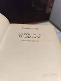 la colomba pugnalata 