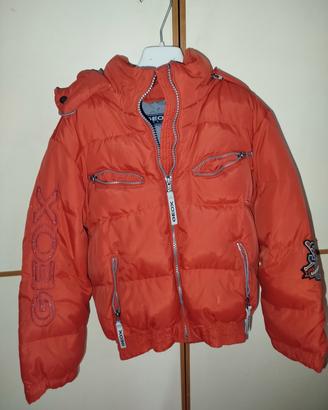 bomber Geox 