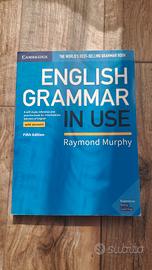 english grammatica in use