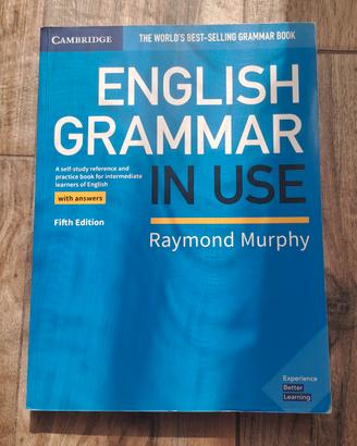 english grammatica in use