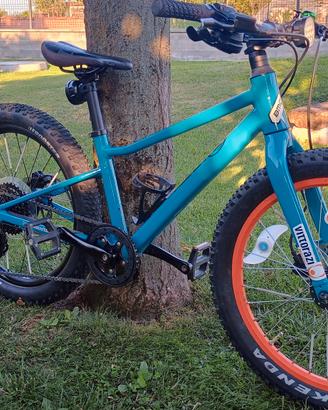 bmc blast 20 pollici