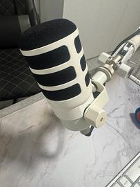 Microfono + asta + mixer