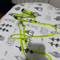 Pettorina per roditori