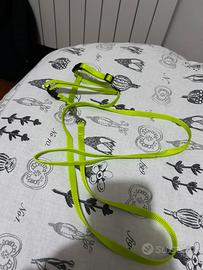 Pettorina per roditori