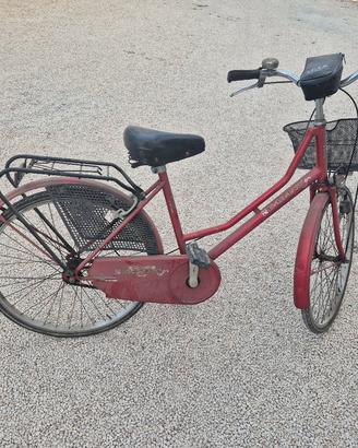 Bicicletta da passeggio