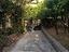 Immagine 12